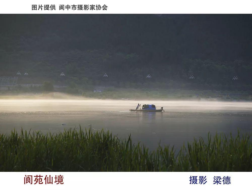 探索喜欢一个人有什么感觉知识星球,解锁无限学习乐趣
